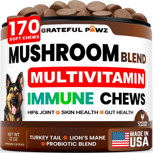 Vet Promise Turkey Tail Mushroom Supplement for Dogs front packaging view showing 170 soft chews container