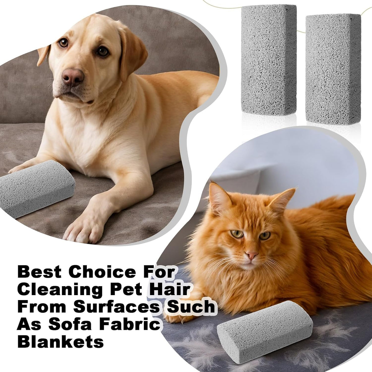 InnoHHustle pumice stone set for dog cat hair