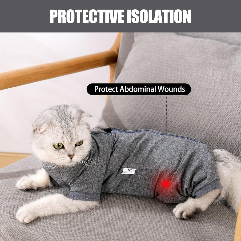 Cat wearing LIANZIMAU recovery suit playing comfortably indoors