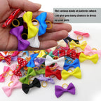 Close up view of durable rubber bands on small dog hair accessories.