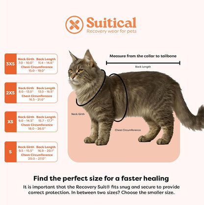 Premium Suitical cat recovery clothing packaging detail