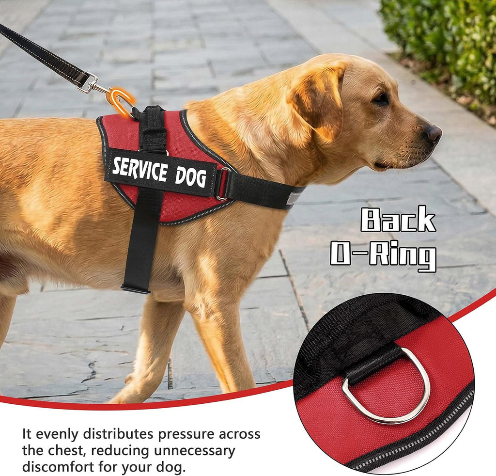 Reflective strip visibility on Mumupet service dog vest
