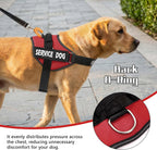 Reflective strip visibility on Mumupet service dog vest