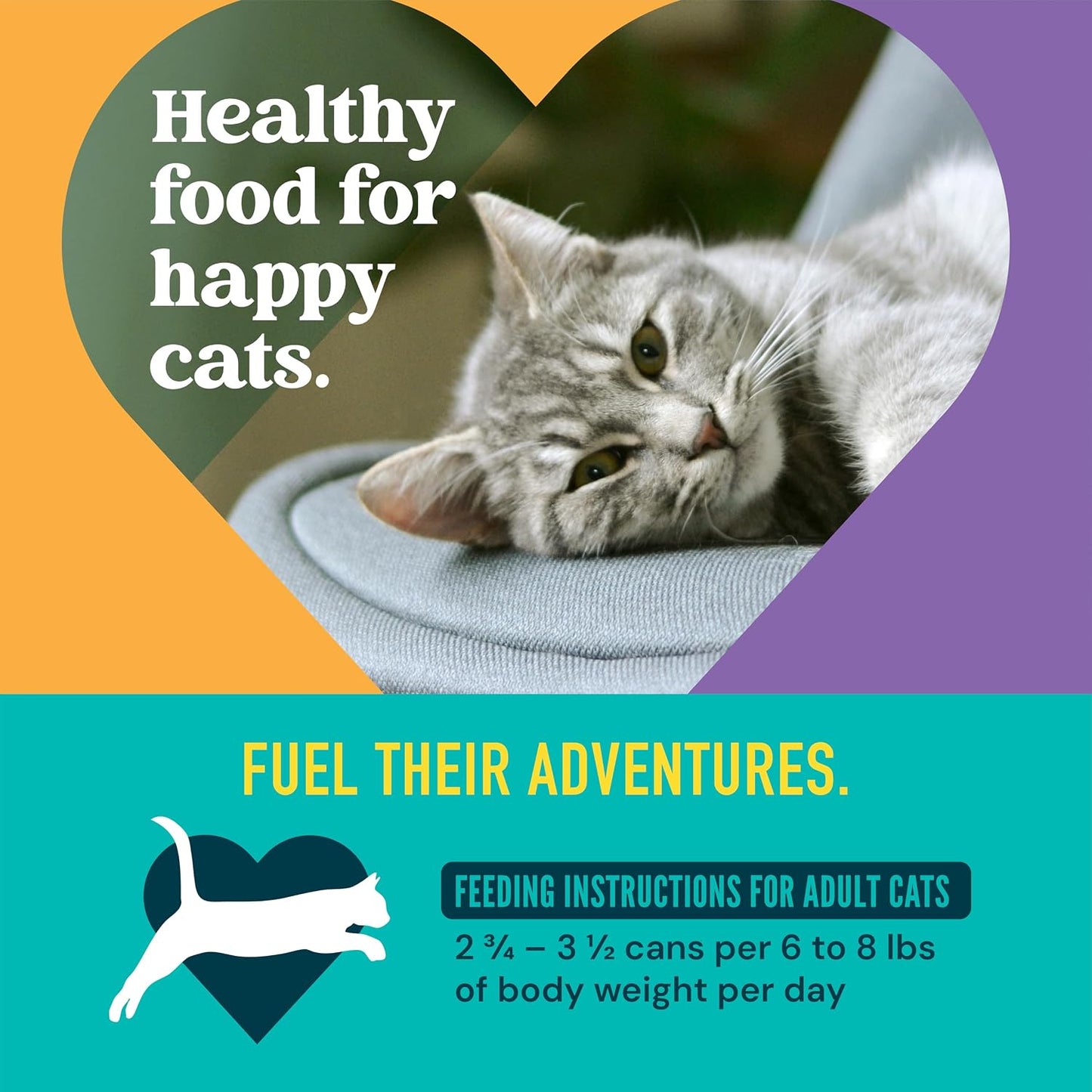 Strong Heart cat food cans arranged with pumpkin and chicken