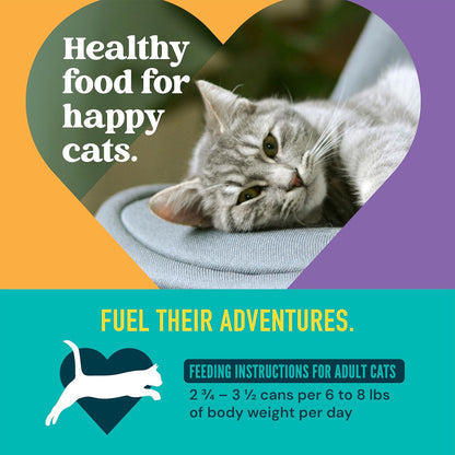 Strong Heart cat food cans arranged with pumpkin and chicken