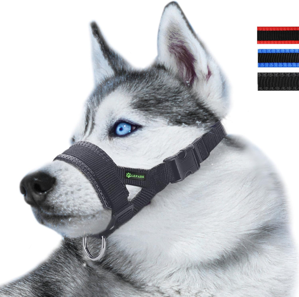 Lepark nylon dog muzzle front view on a large black dog.