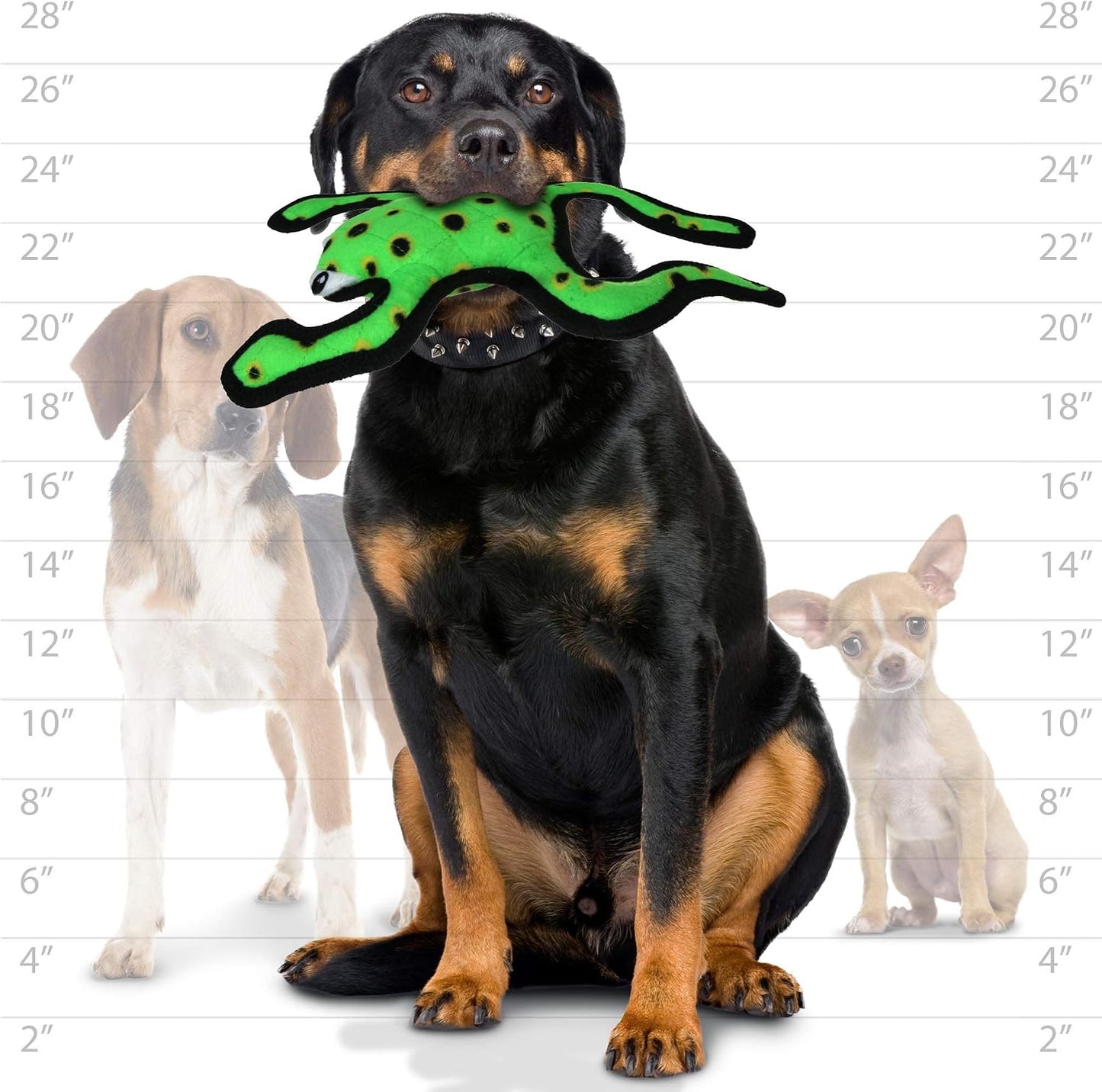 Side profile of Tuffy Phrog dog toy