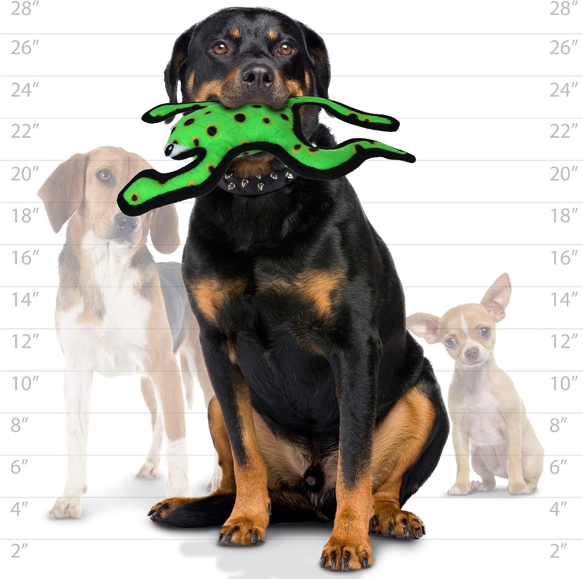 Side profile of Tuffy Phrog dog toy