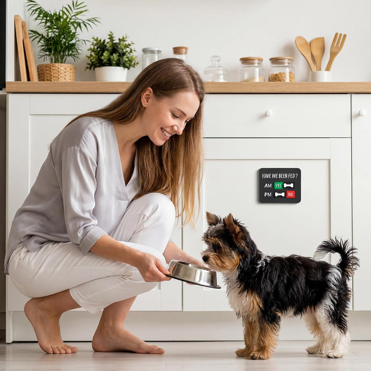 Gosknor pet meal organizer board showcasing the morning and evening tracking zones clearly.