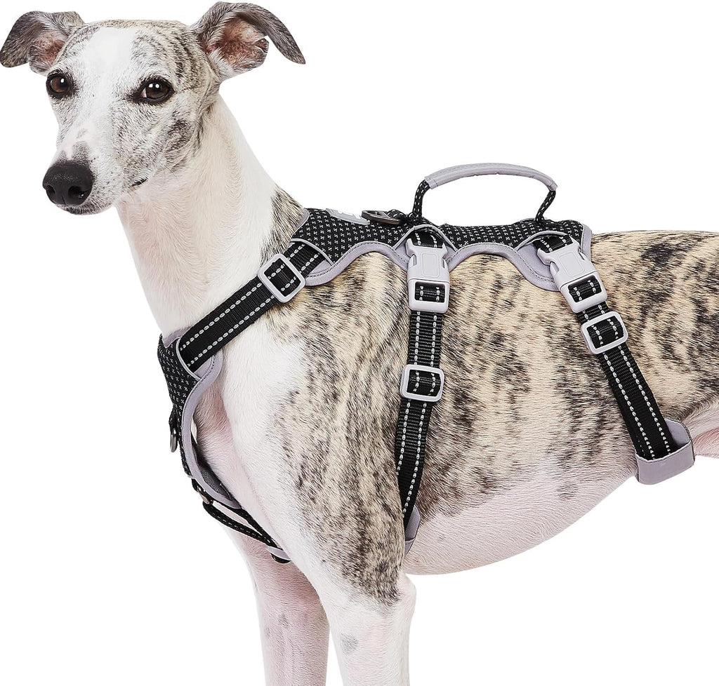 Huntboo Escape Proof Dog Harness front view black color reflective vest