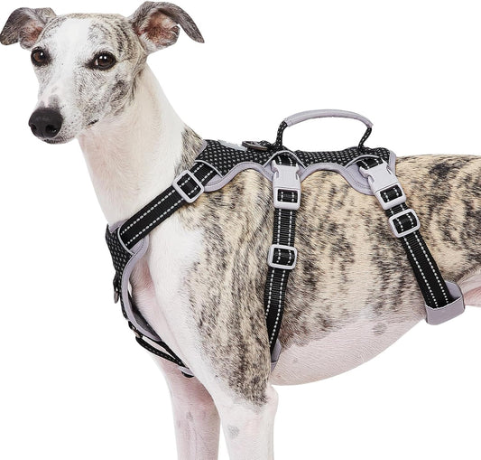 Huntboo Escape Proof Dog Harness front view black color reflective vest