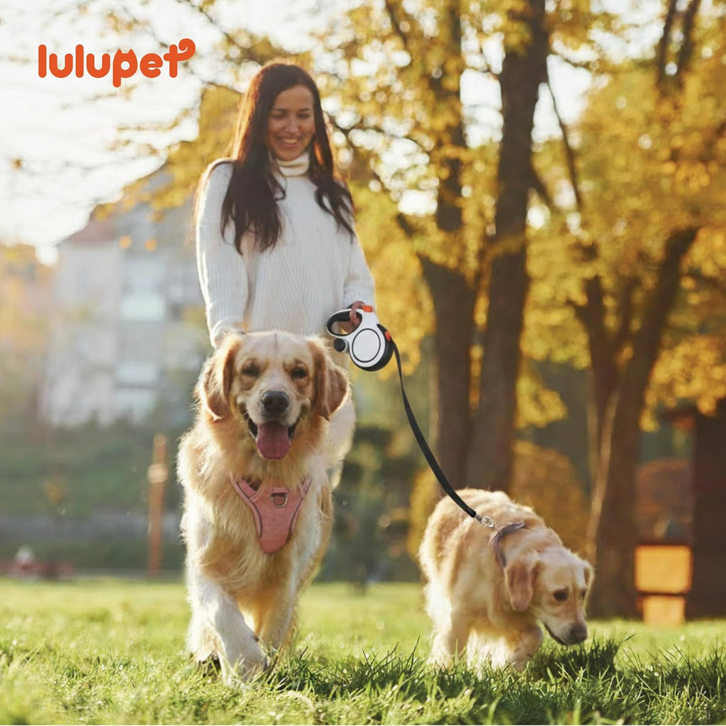 Lulupet reflective dog vest harness for medium and large dogs