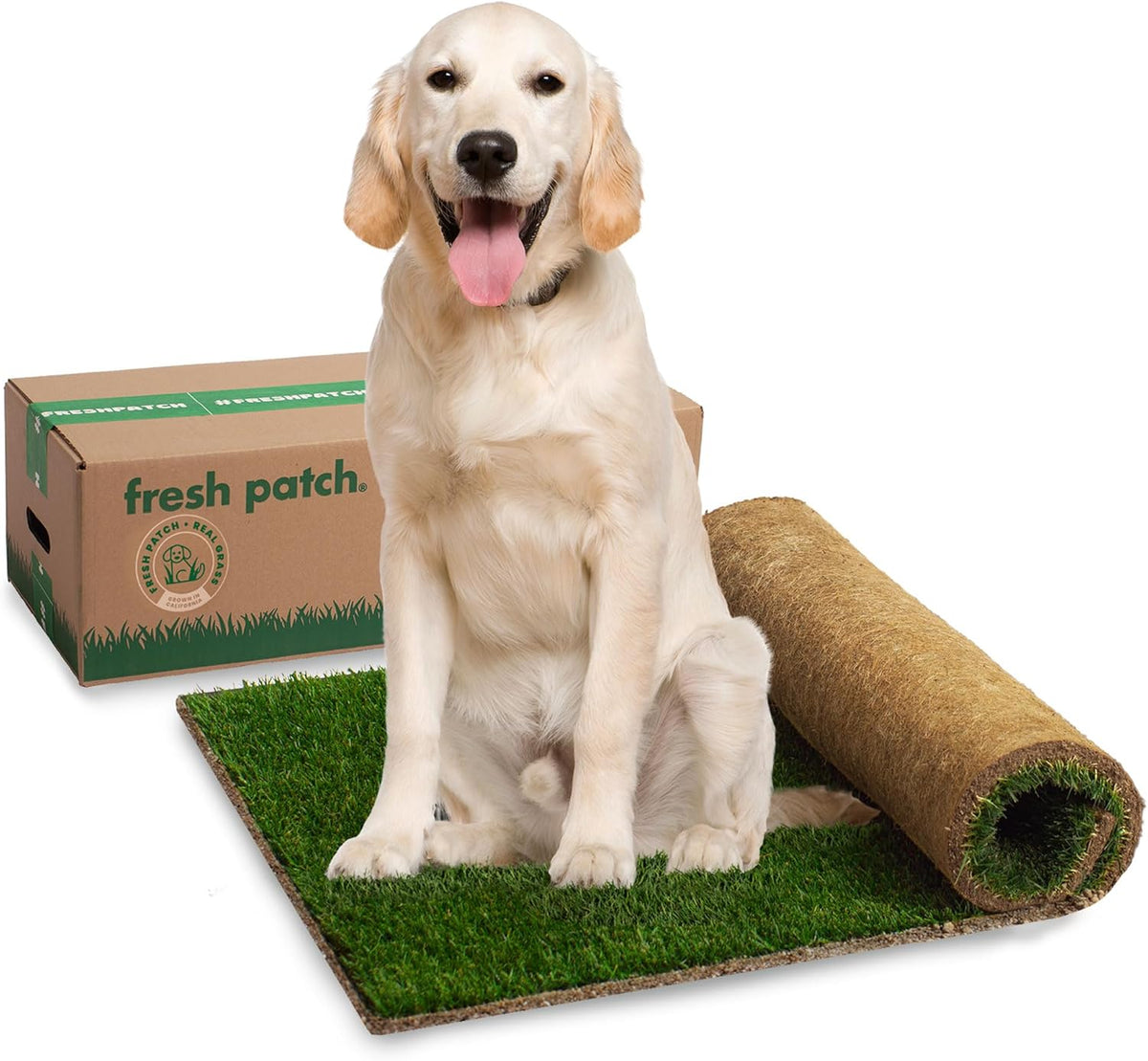 Fresh Patch Real Grass Patch for Dogs, Cats, and Small-Medium Pets Under 15 Pounds - Disposable Pet Grass Pee Pads - Indoor and Outdoor Potty Training Mat (16 Inches x 24 Inches) - Image 12