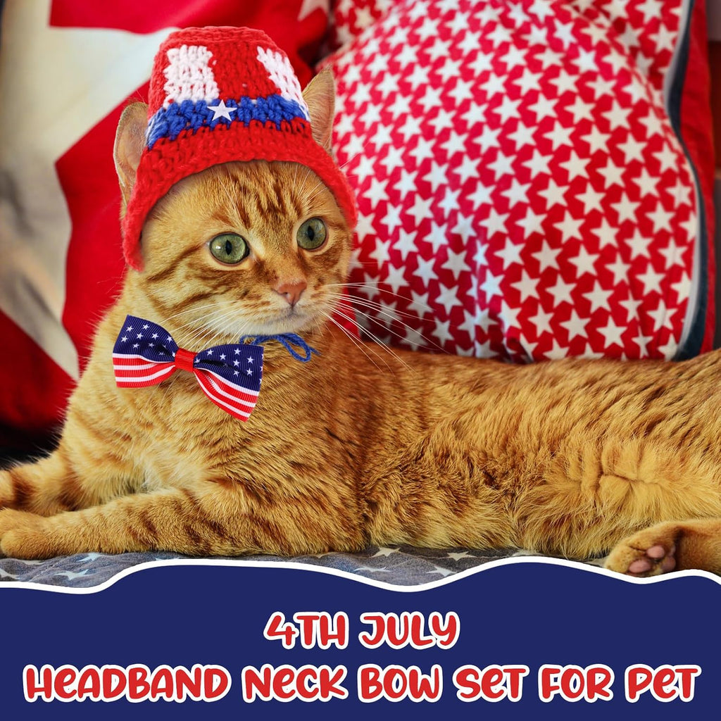 Small dog wearing Ganeen patriotic top hat and bow tie