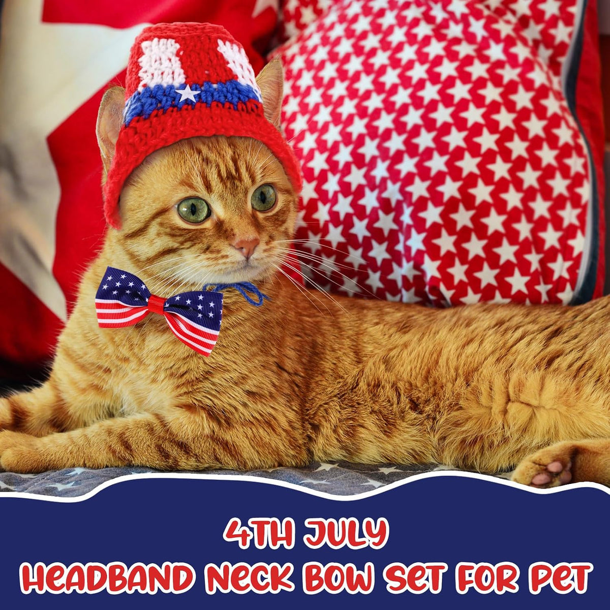 Small dog wearing Ganeen patriotic top hat and bow tie