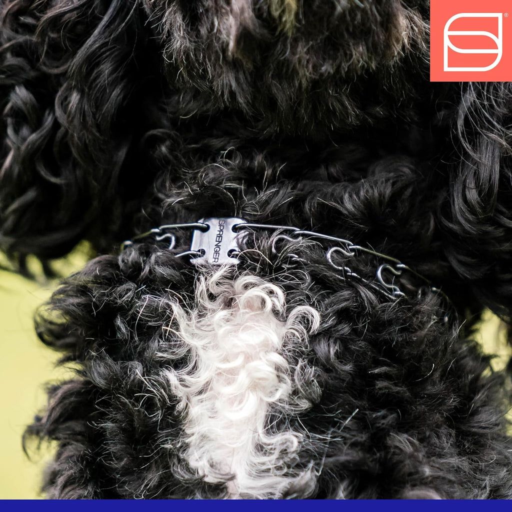 Black stainless steel dog training collar extra links close up detail