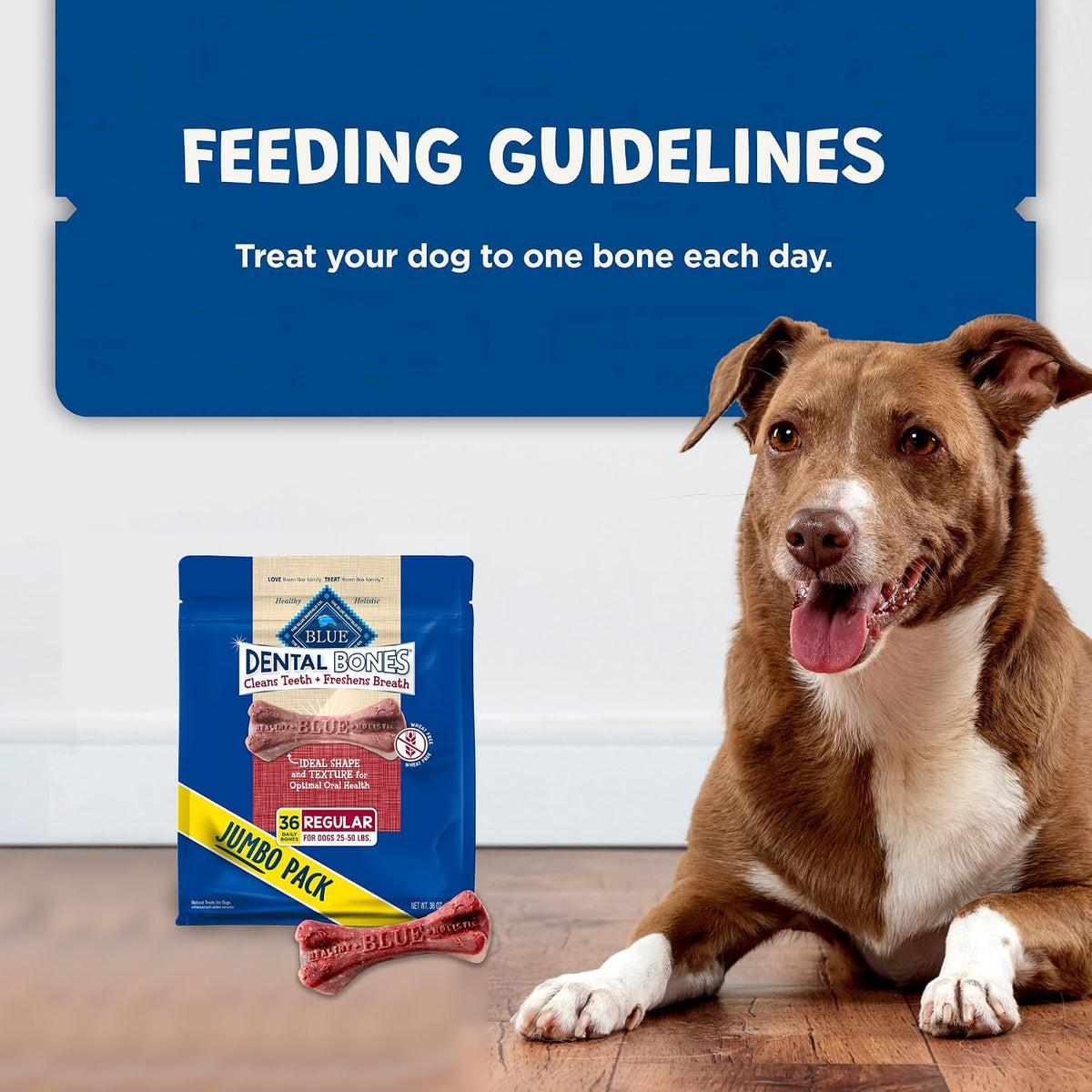 Blue Buffalo Dental Bones lifestyle image with a medium dog
