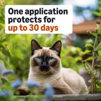 Step by step application guide for cat topical preventative treatment