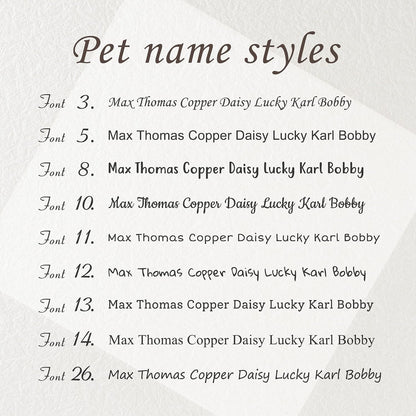 Matte black chew proof pet collar tag assembly