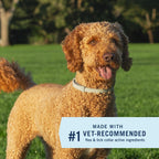 PetArmor flea and tick collar waterproof design features