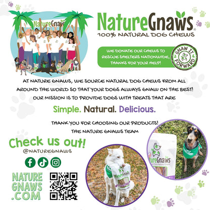 Nature Gnaws long lasting durable dog chew bones eight ounce pack