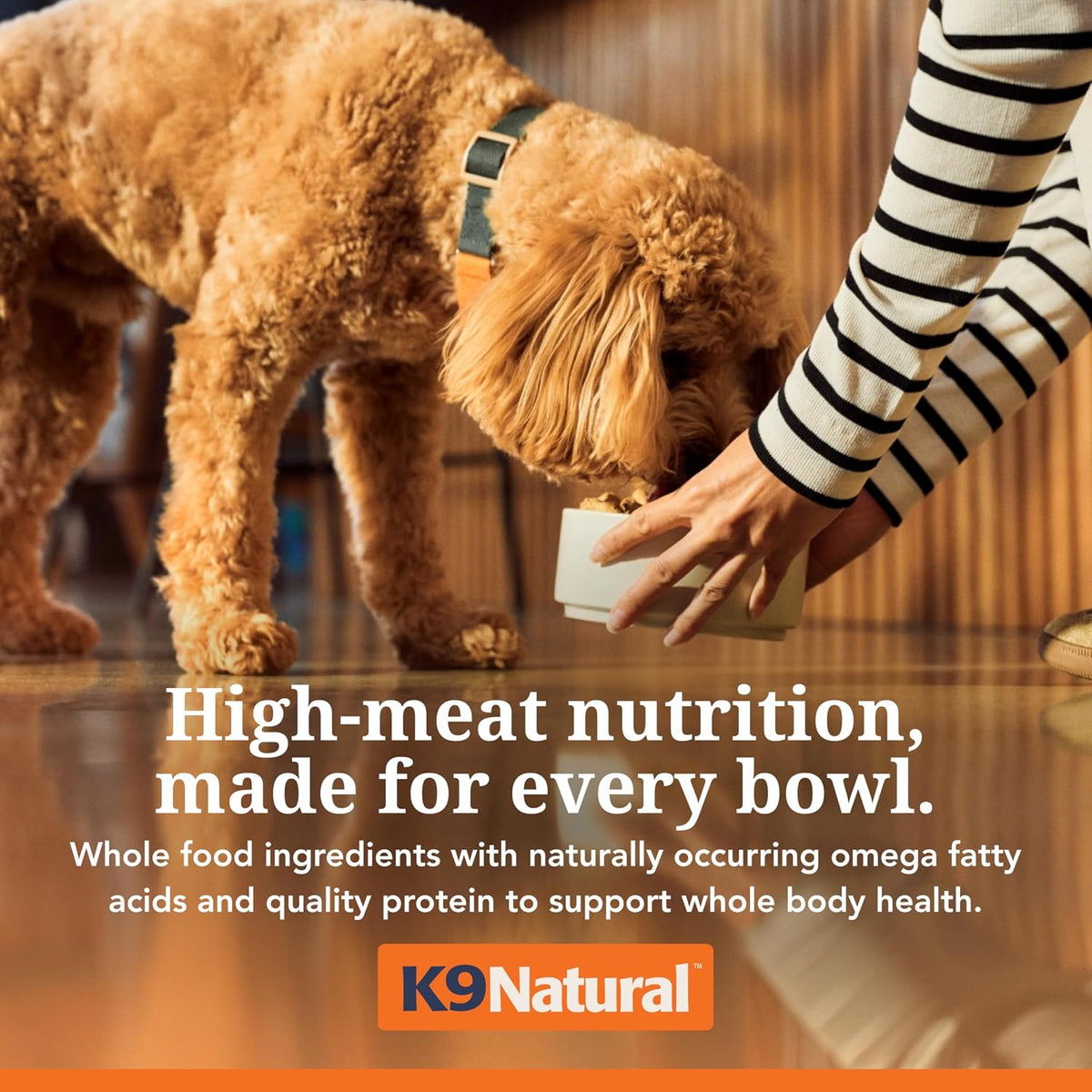K9 Natural grain free dog food serving suggestion