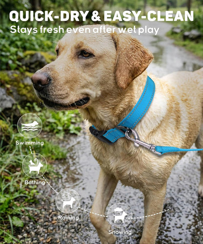 TagME collar packaging for small dogs
