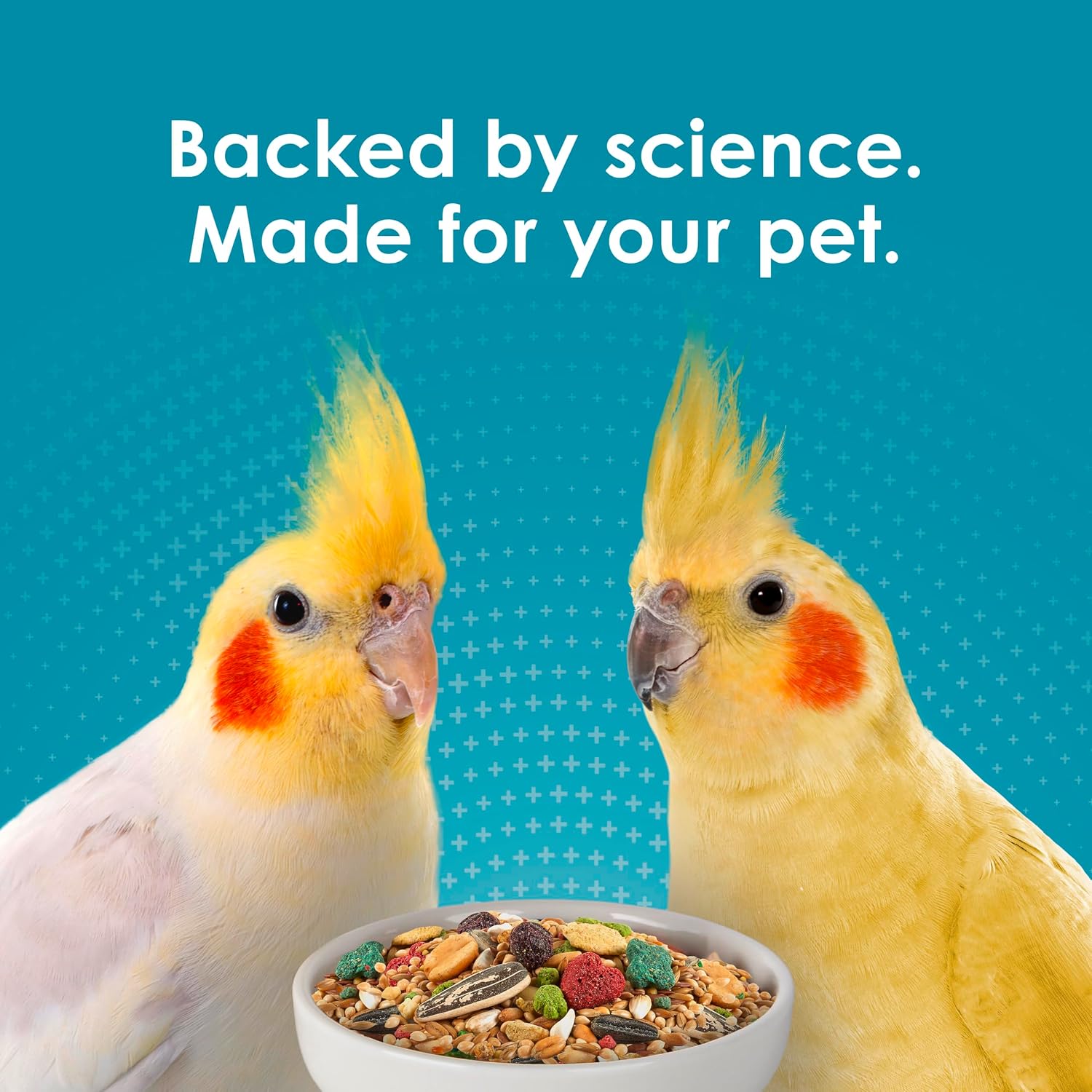 Kaytee Forti-Diet Pro Health Nourish+Protect Cockatiel Food, Comprehensive Nutrition Backed by Science, Digestive Health, Immune Support, 5 pounds - Image 11