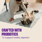 Wellness cat dental treats package with ingredient highlights visible