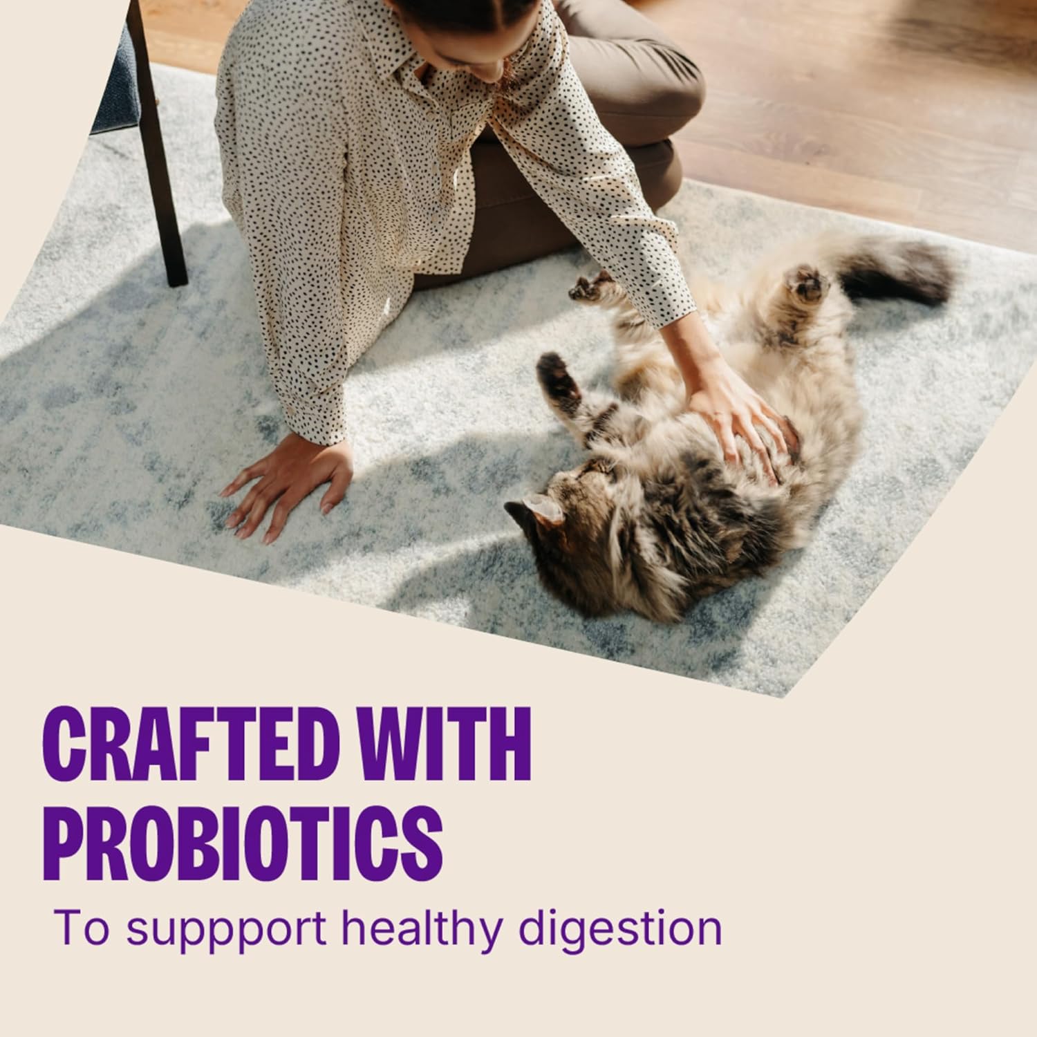 Wellness premium imported crunchy treats for all lifestages