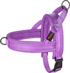 Didog No Pull Dog Harness with Breathable Mesh Padded,Reflective & Quick Fit Light Weight Dog Strap Vest Harness,Easy for Walking Training (L:Chest 26-32", Mesh-Hot Pink) - Image 14