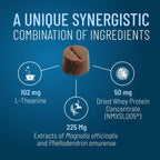 Nutramax Solliquin non-sedating formula dosage instructions for large breeds.