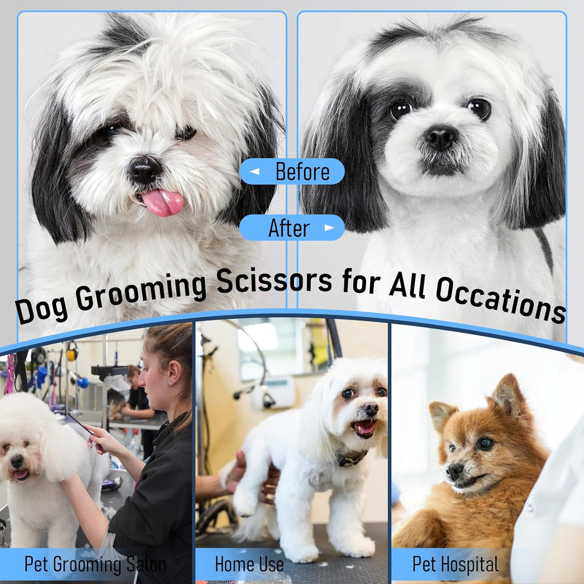 Ergonomic handles of the Purple Dragon professional pet grooming scissors showing comfort inserts.