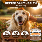 Side view of Vet Promise premium pet supplement canister showing made in USA quality badge.