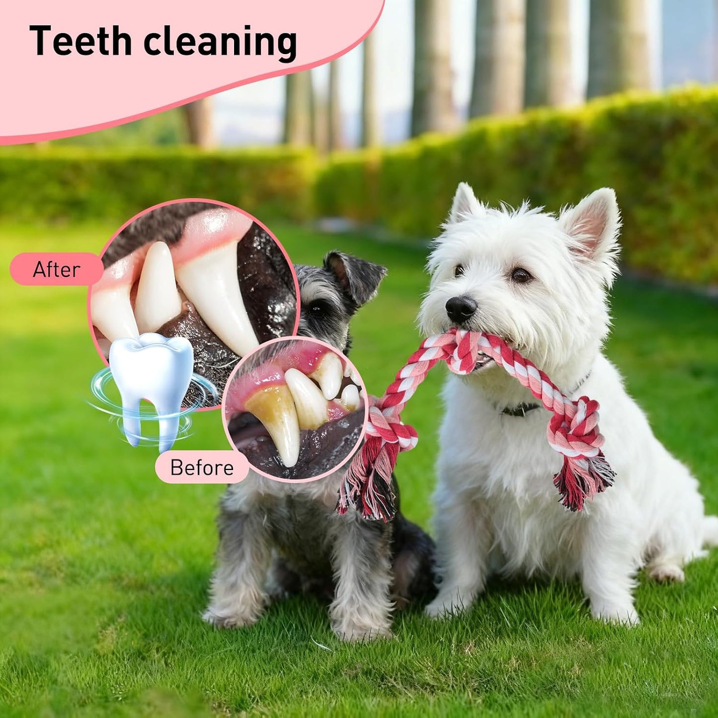 SZEE fourteen inch dog pull toy for interactive tug of war play
