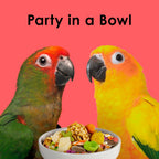 Kaytee Fiesta Conure Food, Nutritious and Fun Blend, Supports Skin, Feather, Digestion, Brain and Heart Health, 4.5 pounds - Image 10