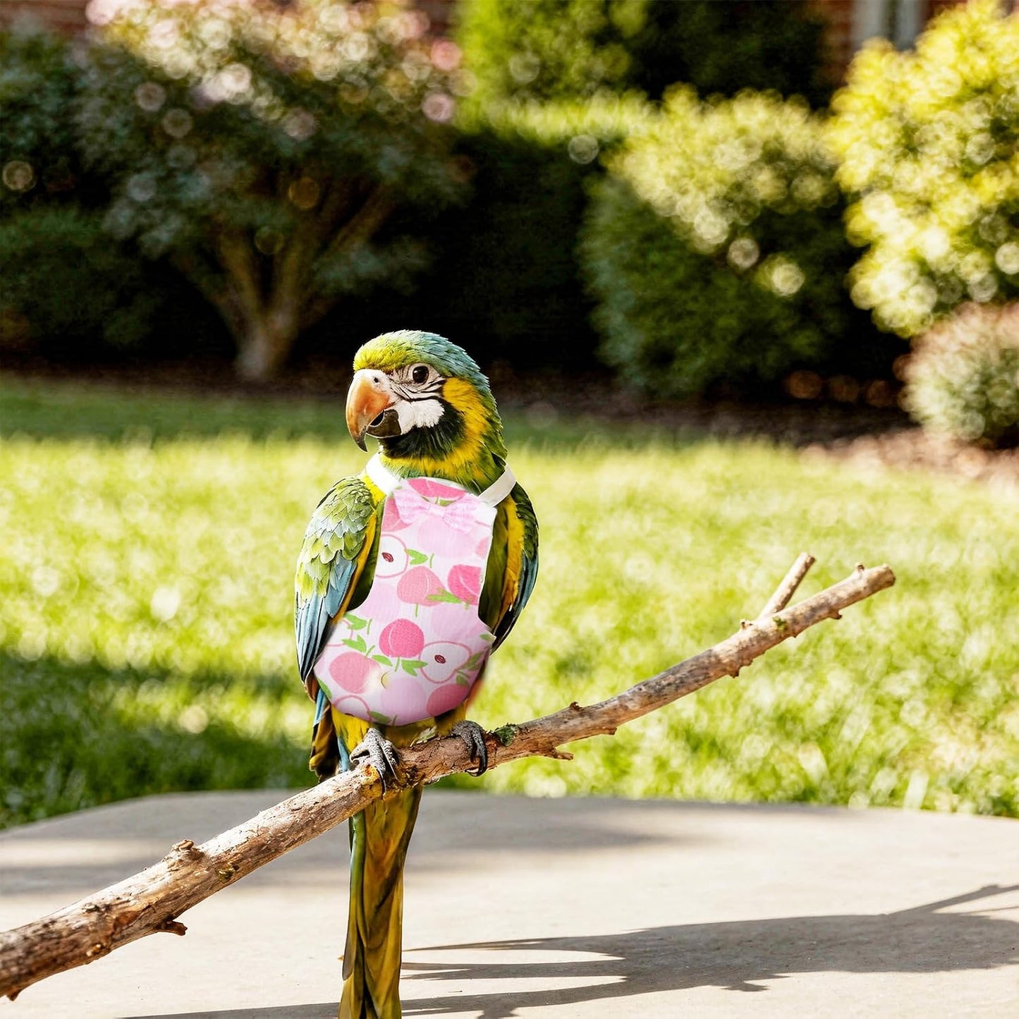 Adjustable bird clothes harness for comfortable indoor parrot flight training.