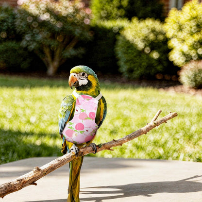 Adjustable bird clothes harness for comfortable indoor parrot flight training.