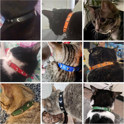 Premium non removable silver tracking bell and heavy duty attachment D ring on the black DILLYBUD cat collar.