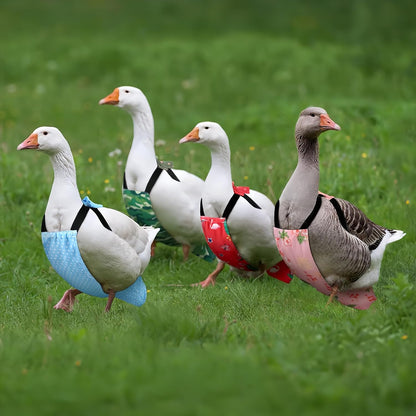 Magnoloran reusable pet clothes packaging containing the two pack poultry solution
