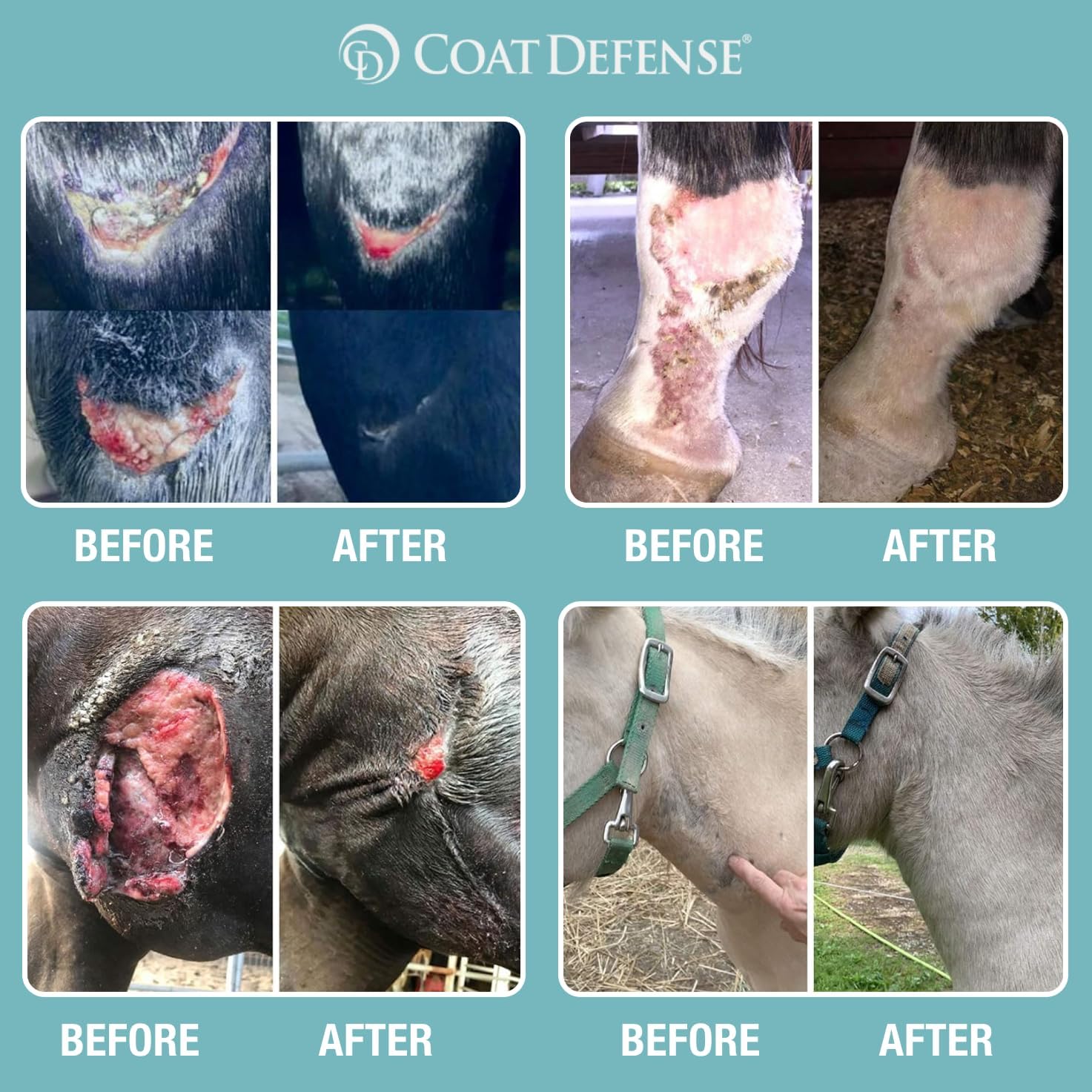 Non toxic horse skin barrier paste for insect bite relief