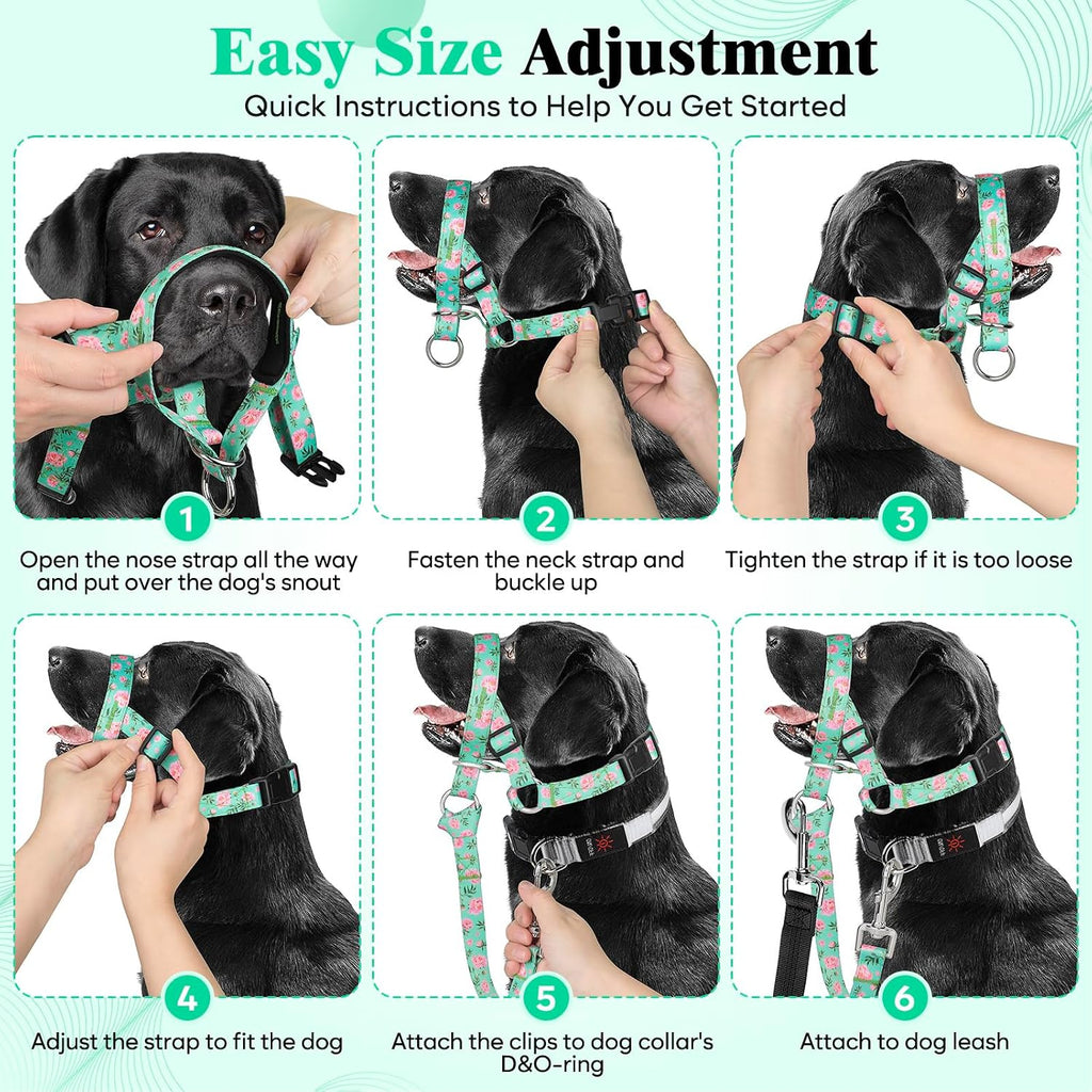 Higo Anti Pulling Halter showing under-chin leash ring connection