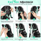 Higo Anti Pulling Halter showing under-chin leash ring connection