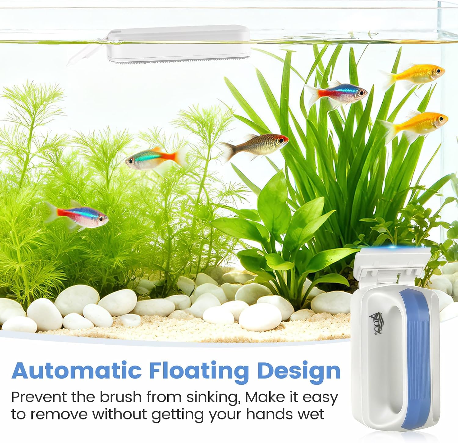 Floating magnetic fish tank algae scraper detaching in water
