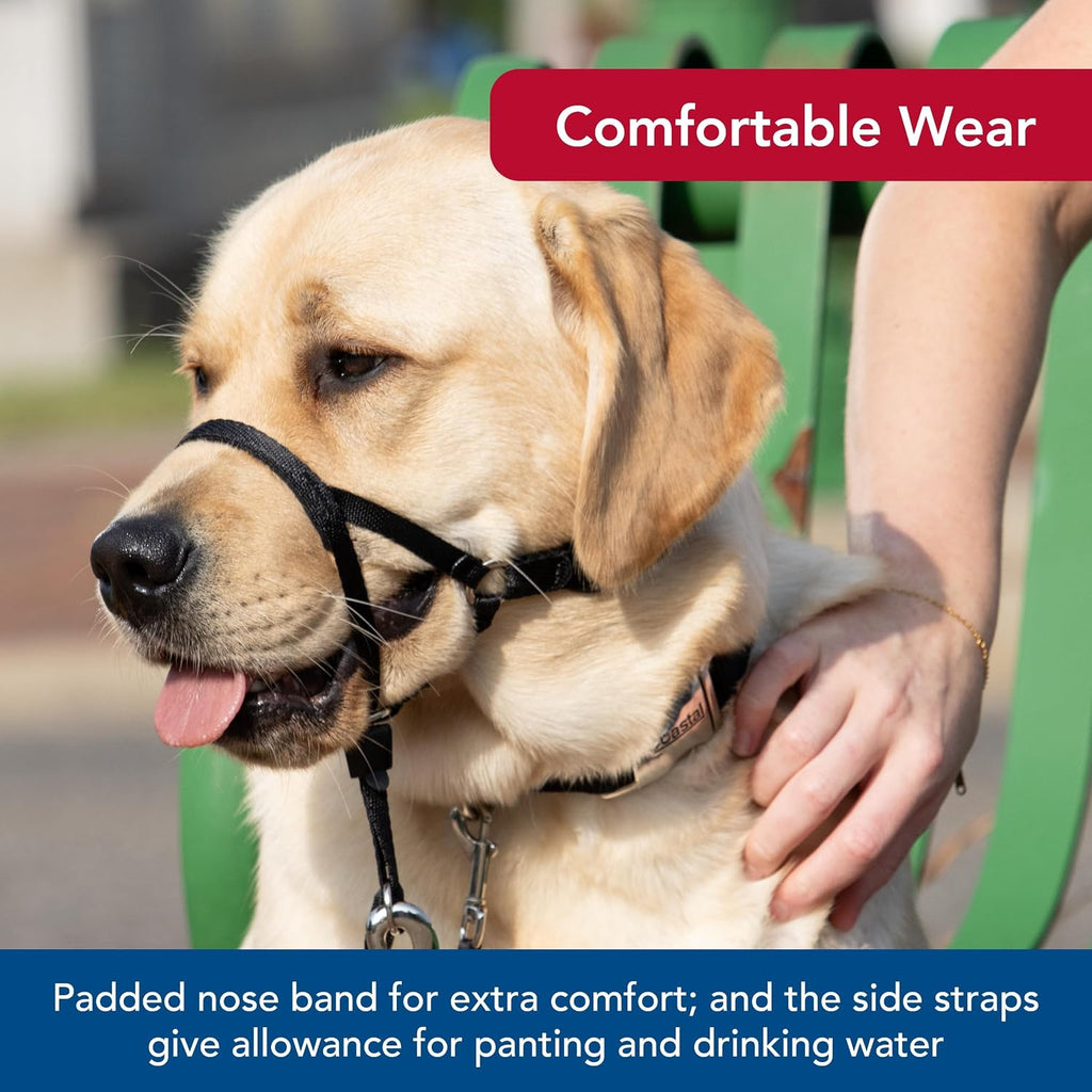Coastal Pet no pull training halter packaged view with clear instruction guides