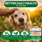 USA made seal on Petsology joint supplement packaging