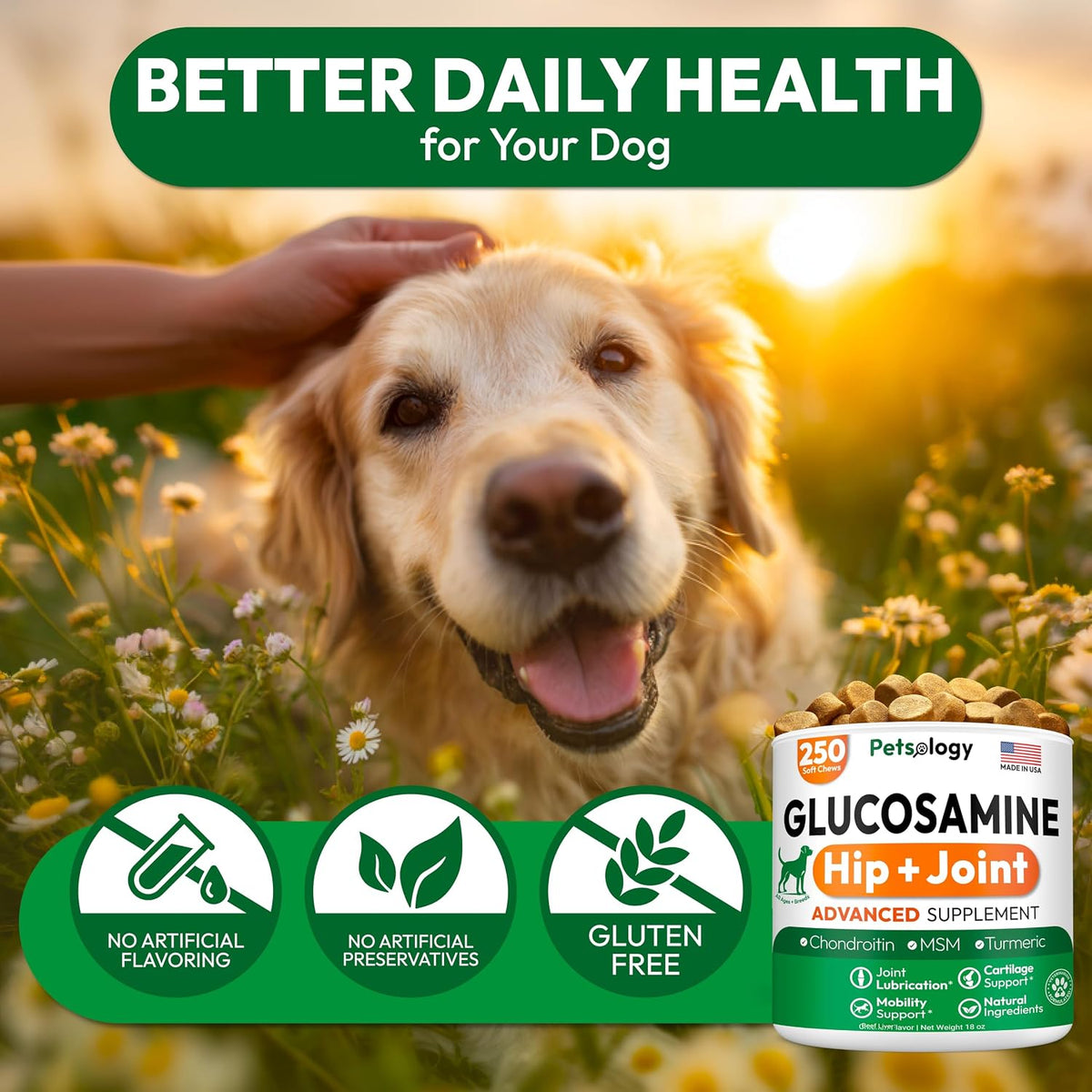 USA made seal on Petsology joint supplement packaging