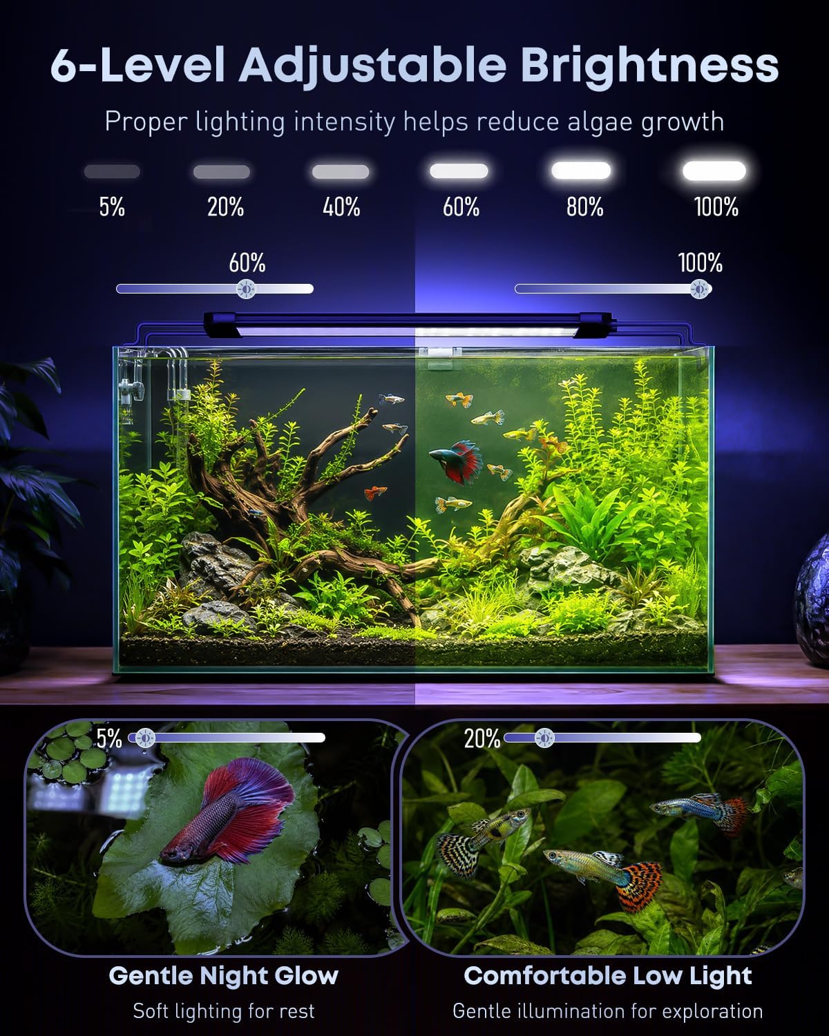 Pawfly aquarium light mounted on a 15 inch fish tank