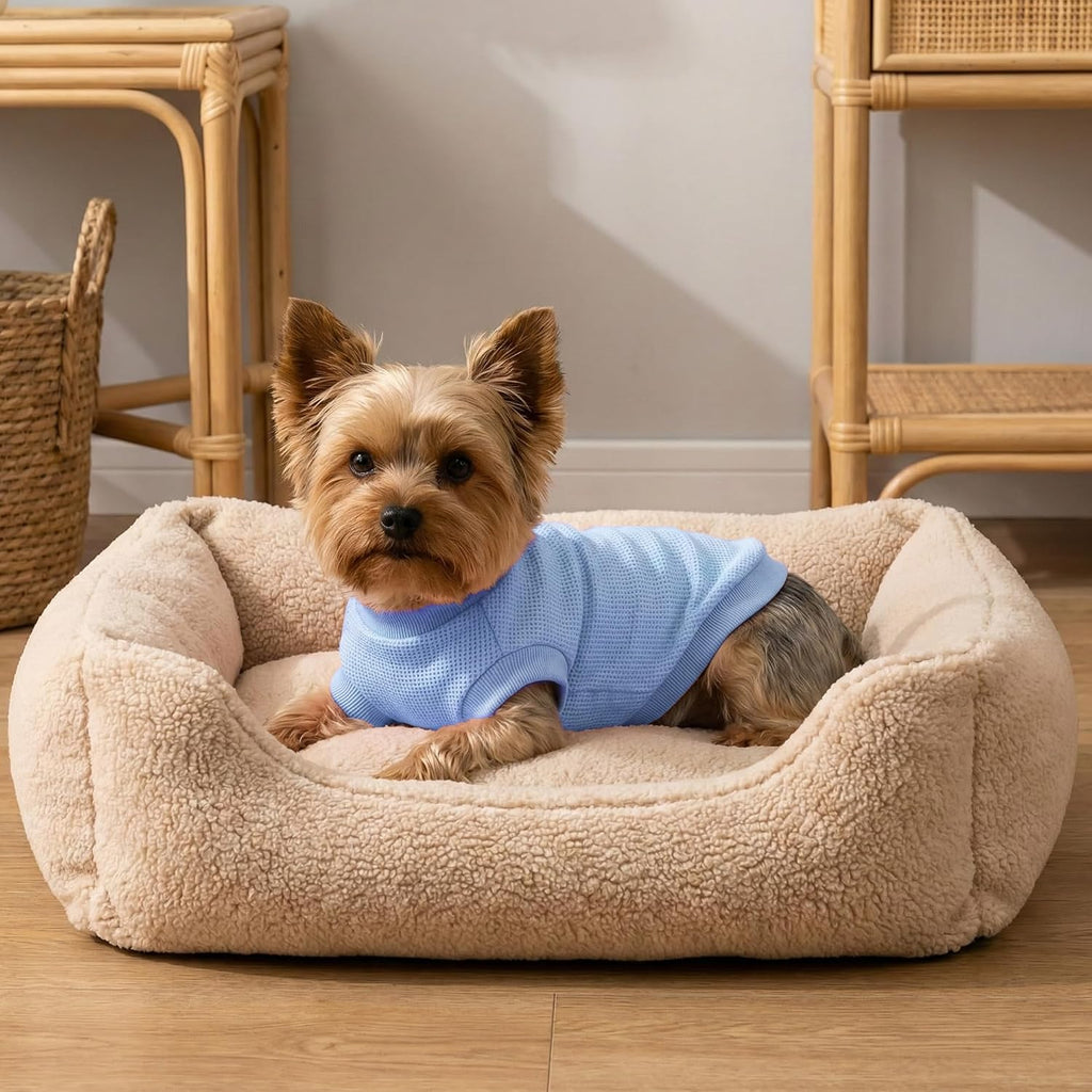 Baobicute dog sweatshirt set for small breeds