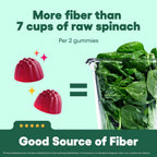 Physician's CHOICE Fiber Gummies for GLP-1 Support - No Sugar Added & Vegan - Raspberry Lemon - Natural Chicory Root Prebiotic Fiber Gummy - Digestive Health & Regularity for Women & Men - 60CT - Image 9